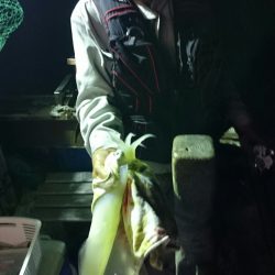 海龍丸（石川） 釣果