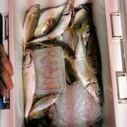 海龍丸（石川） 釣果