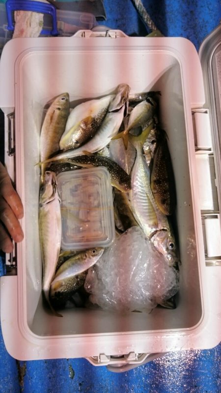 海龍丸（石川） 釣果