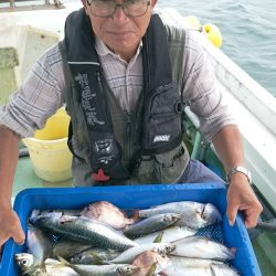 小島丸 釣果