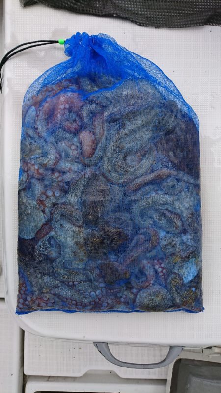 遊漁船 家入 釣果