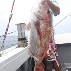 だて丸 釣果