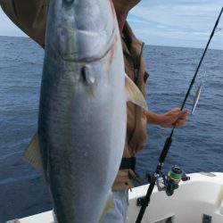 ブルドック 釣果