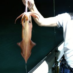 LUSTER『ラスター』 釣果