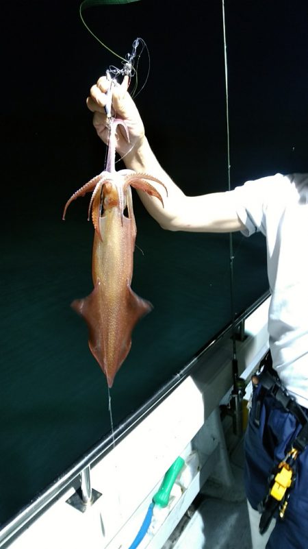 LUSTER『ラスター』 釣果