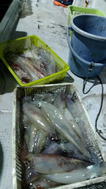 LUSTER『ラスター』 釣果