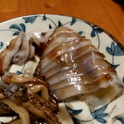 LUSTER『ラスター』 釣果