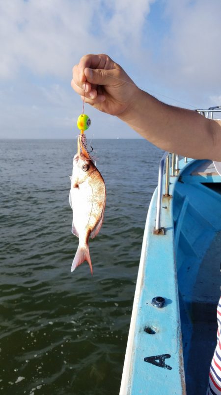 みやけ丸 釣果