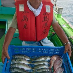 小島丸 釣果