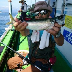 小島丸 釣果