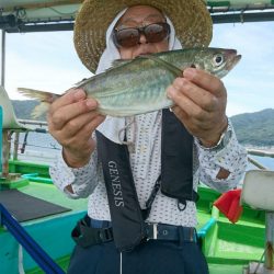 小島丸 釣果