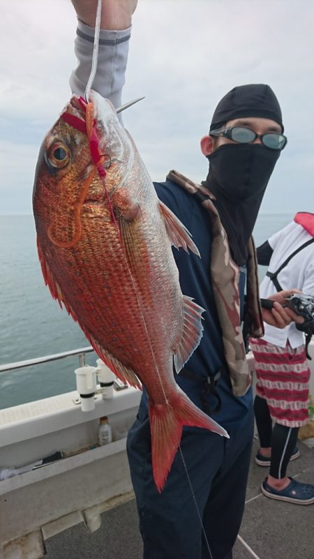 ARCADIAⅡ (アルカディアⅡ) 釣果