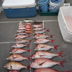 ARCADIAⅡ (アルカディアⅡ) 釣果