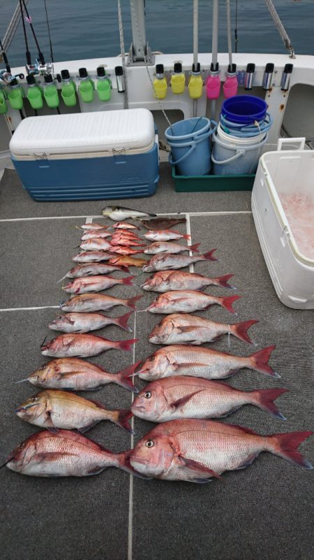 ARCADIAⅡ (アルカディアⅡ) 釣果