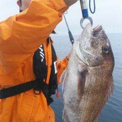 ブルドック 釣果