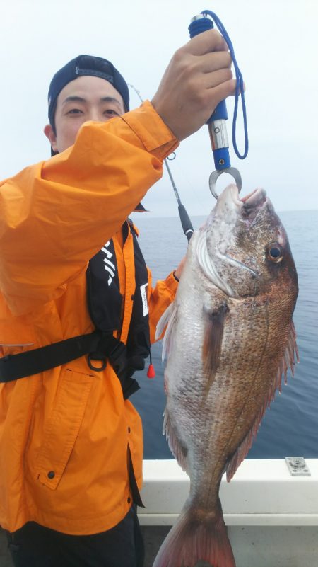 ブルドック 釣果