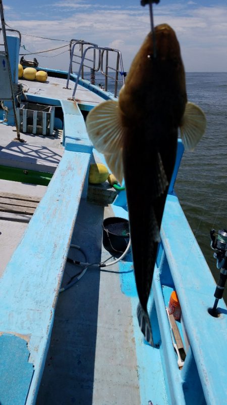 みやけ丸 釣果