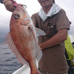 だて丸 釣果