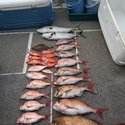 ARCADIAⅡ (アルカディアⅡ) 釣果