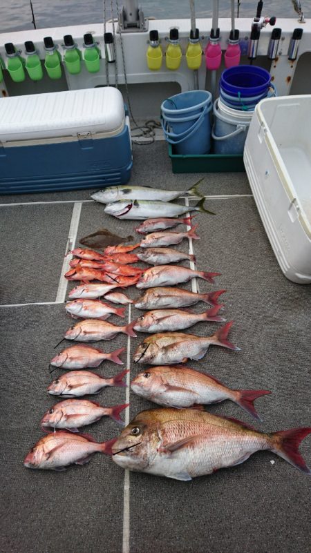 ARCADIAⅡ (アルカディアⅡ) 釣果