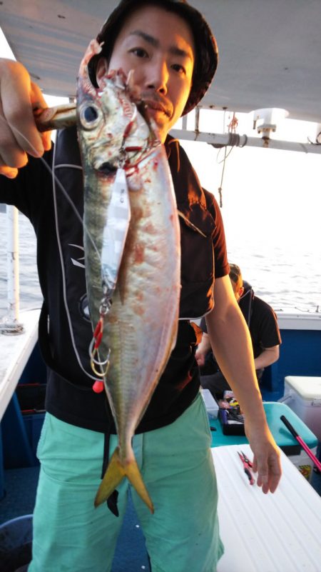 健洋丸 釣果