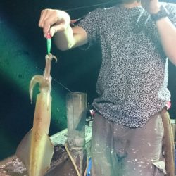 海龍丸(石川) 釣果