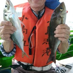 小島丸 釣果