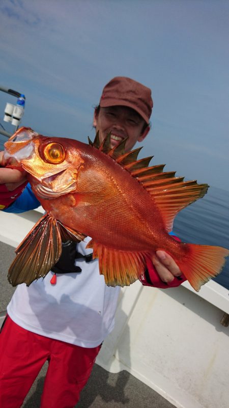 ARCADIAⅡ (アルカディアⅡ) 釣果