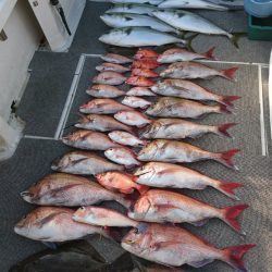 ARCADIAⅡ (アルカディアⅡ) 釣果