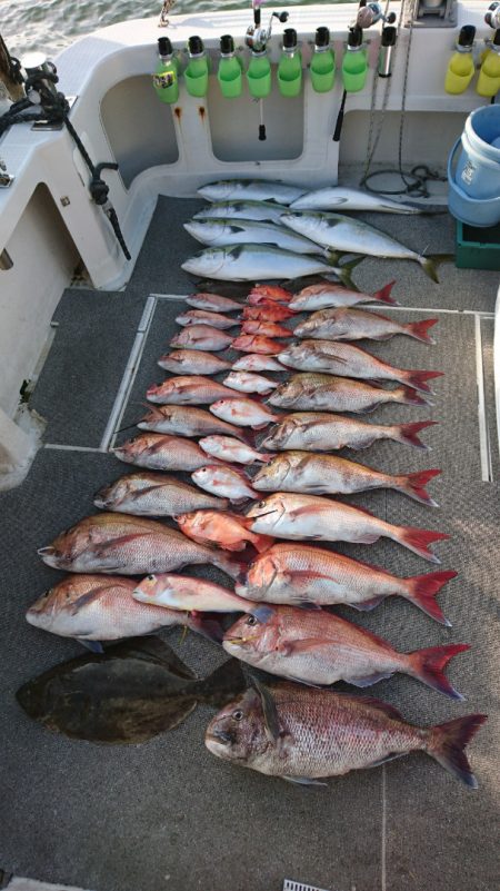 ARCADIAⅡ (アルカディアⅡ) 釣果