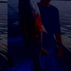 海龍丸（石川） 釣果