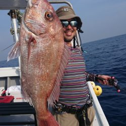 だて丸 釣果