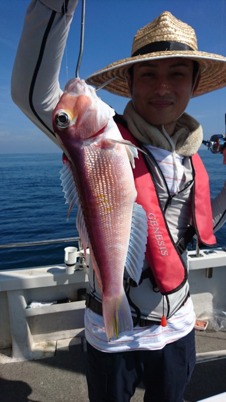 ARCADIAⅡ (アルカディアⅡ) 釣果