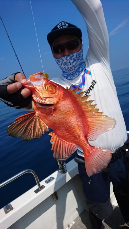 ARCADIAⅡ (アルカディアⅡ) 釣果