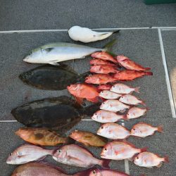 ARCADIAⅡ (アルカディアⅡ) 釣果