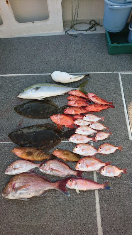 ARCADIAⅡ (アルカディアⅡ) 釣果