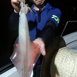 LUSTER『ラスター』 釣果