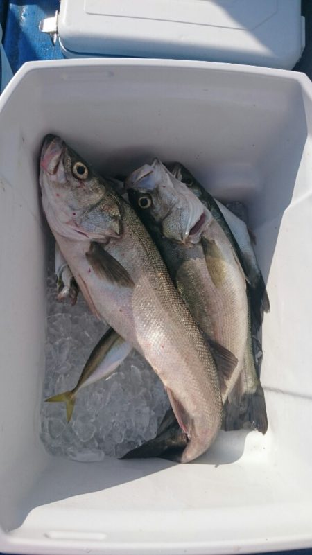 海龍丸（石川） 釣果
