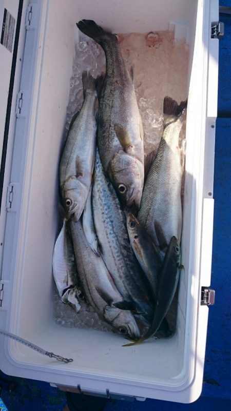 海龍丸（石川） 釣果