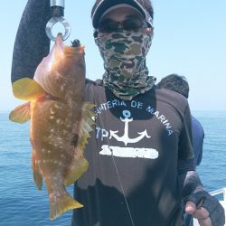 LUSTER『ラスター』 釣果