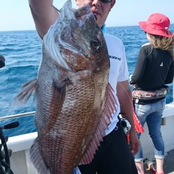 ARCADIAⅡ (アルカディアⅡ) 釣果