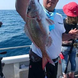 ARCADIAⅡ (アルカディアⅡ) 釣果