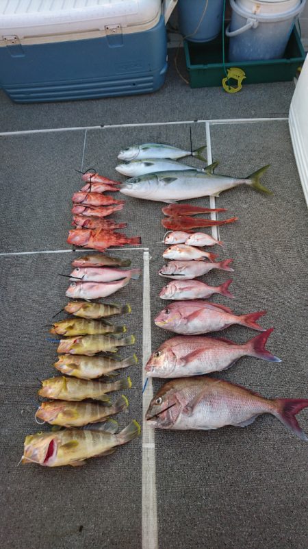 ARCADIAⅡ (アルカディアⅡ) 釣果