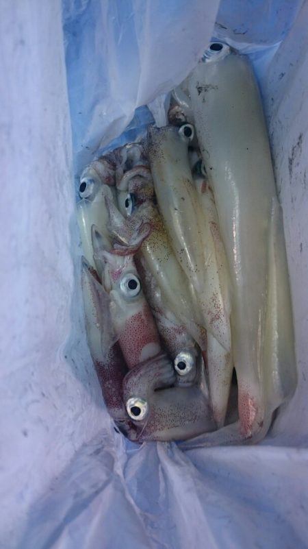 海龍丸（石川） 釣果