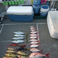 ARCADIAⅡ （アルカディアⅡ） 釣果