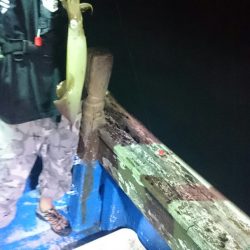 海龍丸（石川） 釣果