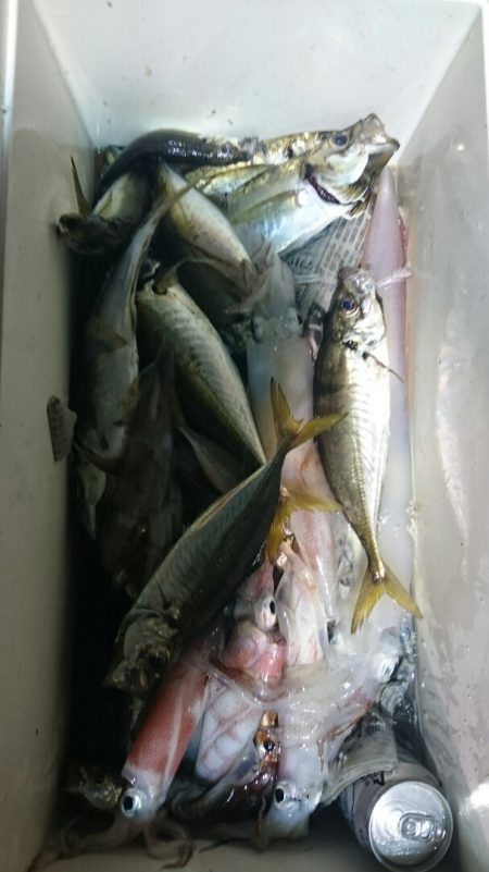 海龍丸（石川） 釣果