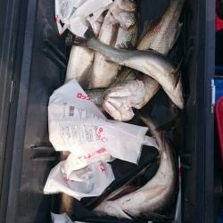 海龍丸（石川） 釣果