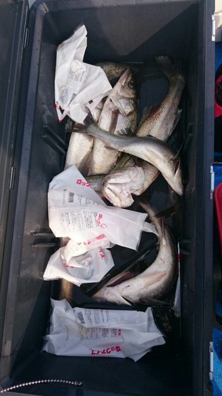 海龍丸（石川） 釣果