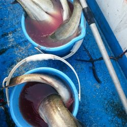 海龍丸（石川） 釣果